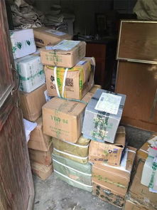 張金寶攜金財(cái)咨詢踐行社會(huì)責(zé)任，共筑鄉(xiāng)村教育未來(lái)——記“鄉(xiāng)村學(xué)校圖書室手拉手行動(dòng)”